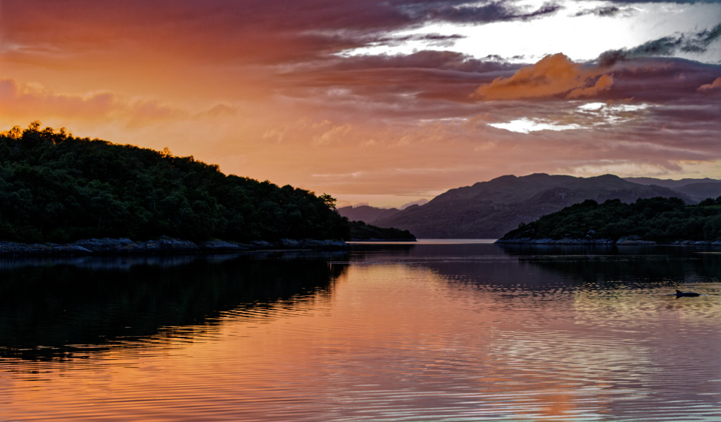 Sunset at the entrance to Loch Teacius with Dolphin surfacing on right hand side